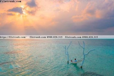 Mua file gốc bai bien dai duong 290 (in ấn) tại Filetranh.com