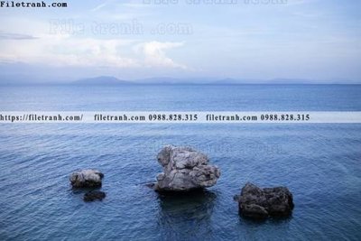 Mua file ảnh gốc bai bien dai duong 295 (chất lượng cao)