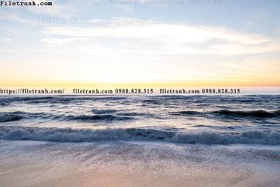 File tranh bai bien dai duong 320 (gốc) in film