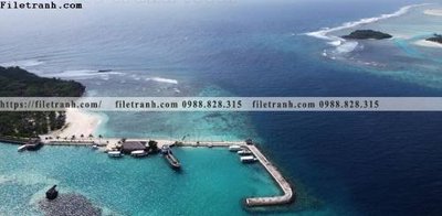 File tranh bai bien dai duong 357 (gốc) in film