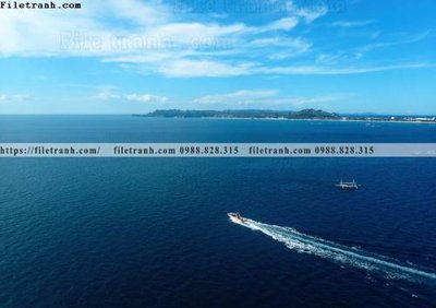 File in trần bai bien dai duong 359 (bản gốc 3D) sống động