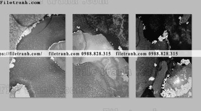 Tải file gốc bo 3 tam tranh truu tuong 121 (để in lụa)