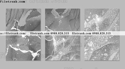 File gốc bo 3 tam tranh truu tuong 140 (PNG) nền trong suốt