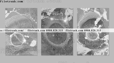 File gốc bo 3 tam tranh truu tuong 147 (PNG) chất lượng cao