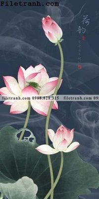 File ảnh bong hoa sen trung quoc 100 (gốc) in poster