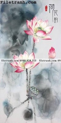 File ảnh gốc bong hoa sen trung quoc 143 (chuyên in mica)