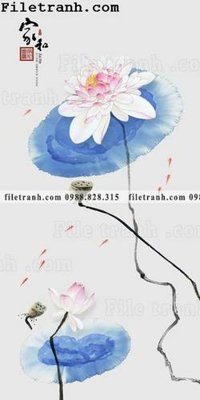 Tải file bong hoa sen trung quoc 165 (gốc) làm tranh treo tường