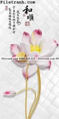 Hình ảnh file gốc bong hoa sen trung quoc 167 (chất lượng cao)