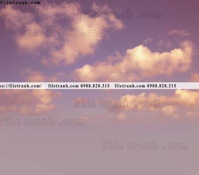 File in lụa buc anh bau troi tho mong cua Morandi 155 (chất lượng cao) buc anh bau troi tho mong cua Morandi 155