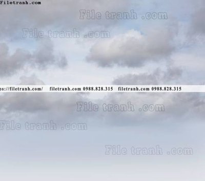 File in lụa buc anh bau troi tho mong cua Morandi 158 (hoa văn) buc anh bau troi tho mong cua Morandi 158