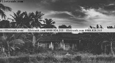 File in mica buc anh chup anh phong canh thon que 101 (bản gốc) sắc sảo