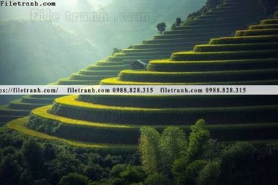 Tệp tin gốc buc anh chup anh phong canh thon que 109 (chất lượng cao) buc anh chup anh phong canh thon que 109