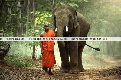 Chi tiết file tranh tráng gương buc anh chup anh phong canh thon que 117 (ảnh gốc)