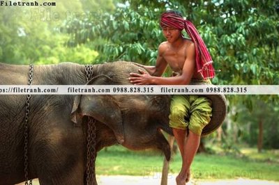 File gốc buc anh chup anh phong canh thon que 118 (ảnh chi tiết) để in trần