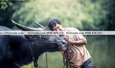 File gốc buc anh chup anh phong canh thon que 121 (in lụa) tranh thuận buồm