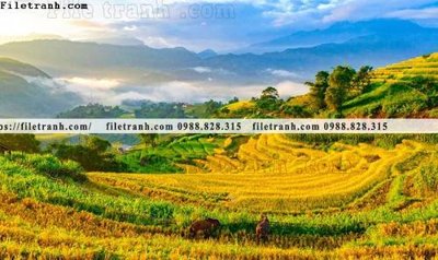 File gốc in mica buc anh chup anh phong canh thon que 138 chất lượng