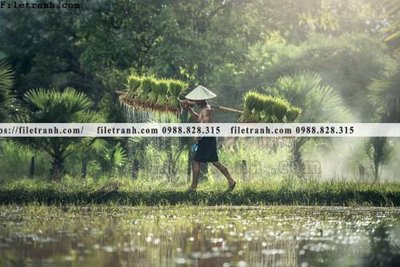 Ảnh gốc buc anh chup anh phong canh thon que 139 (siêu chi tiết) để in ấn