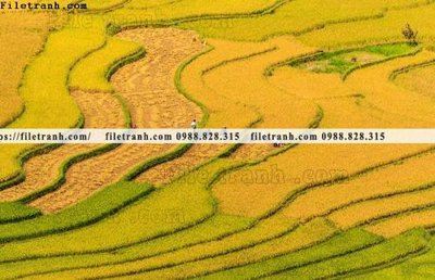 File gốc buc anh chup anh phong canh thon que 157 (thiết kế) cho in ấn