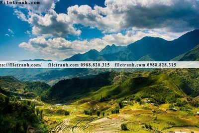 File tranh quảng cáo buc anh chup anh phong canh thon que 166 (download file gốc)