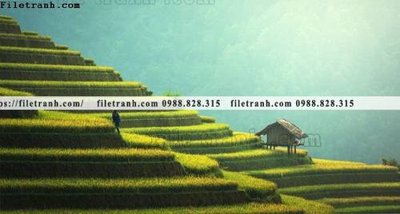 File tranh gốc buc anh chup anh phong canh thon que 169 (sắc nét từng chi tiết)