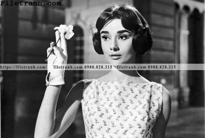 File tranh gốc buc anh cua Audrey Hepburn 135 (bản quyền) độc đáo