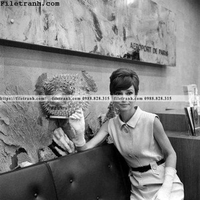 File PSD buc anh cua Audrey Hepburn 137 (bản gốc) cho nhà in