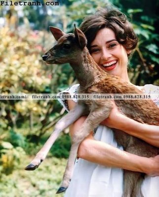 Download file gốc buc anh cua Audrey Hepburn 166 (in lụa) hoa lá