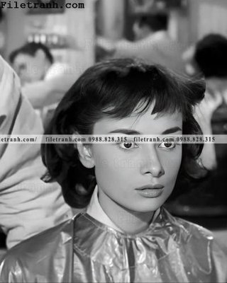Mua file ảnh gốc buc anh cua Audrey Hepburn 181 (chất lượng cao)