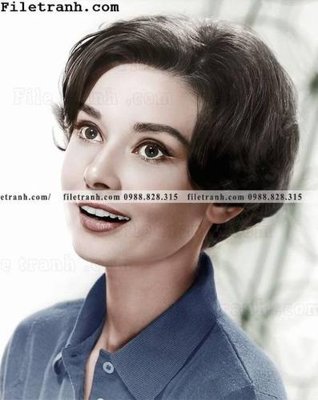 File gốc buc anh cua Audrey Hepburn 213 (in lụa) tranh mã đáo