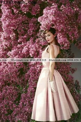 Download file buc anh cua Audrey Hepburn 228 (gốc) in mica đèn LED