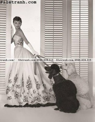 Tải file gốc buc anh cua Audrey Hepburn 234 (in khổ lớn) quảng cáo