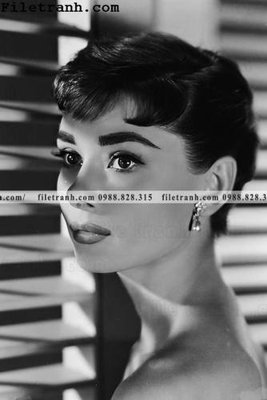 Download file gốc buc anh cua Audrey Hepburn 240 (in lụa) hoa lá