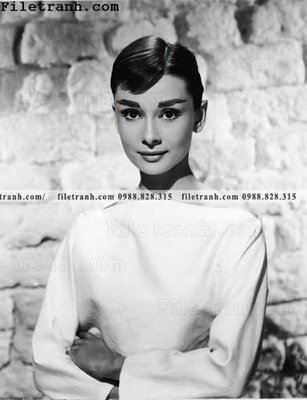 Tệp tin gốc buc anh cua Audrey Hepburn 244 (chất lượng cao) buc anh cua Audrey Hepburn 244