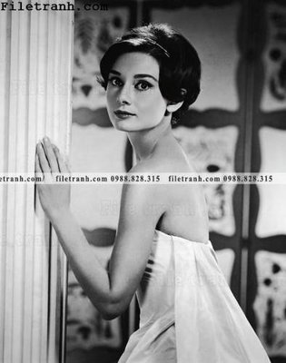 File gốc buc anh cua Audrey Hepburn 246 (PNG) chất lượng cao