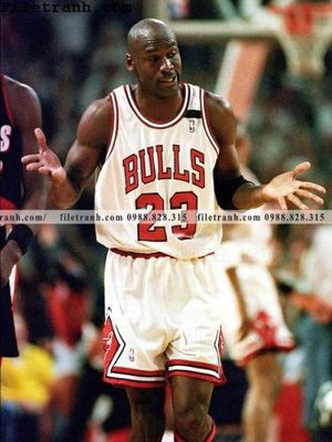 Ảnh mô tả file gốc in mica buc anh cua NBA Jordan 160