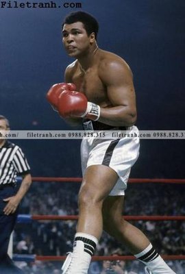 File gốc buc anh cua nha vo dich quyen anh Ali Tyson 165 (chuẩn màu) cho in offset
