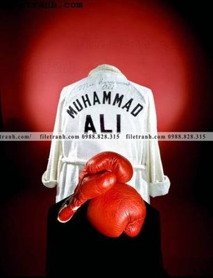 Tải file PSD buc anh cua nha vo dich quyen anh Ali Tyson 171 (nguyên layer) để in