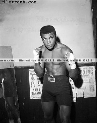 File gốc buc anh cua nha vo dich quyen anh Ali Tyson 173 (in lụa) cao cấp
