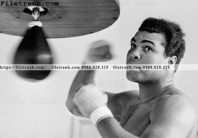 Tải file buc anh cua nha vo dich quyen anh Ali Tyson 192 (gốc) làm tranh treo tường