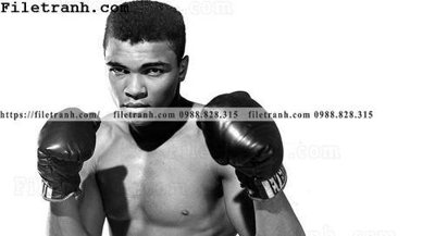 Tải file buc anh cua nha vo dich quyen anh Ali Tyson 206 (ảnh gốc) in gạch men
