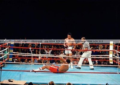 Download file buc anh cua nha vo dich quyen anh Ali Tyson 209 (gốc) cho xưởng in