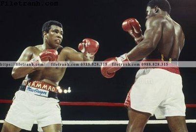 Download file gốc buc anh cua nha vo dich quyen anh Ali Tyson 213 (độ nét cao)