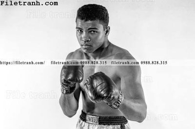 File gốc buc anh cua nha vo dich quyen anh Ali Tyson 214 (cho in ấn) từ kho Filetranh