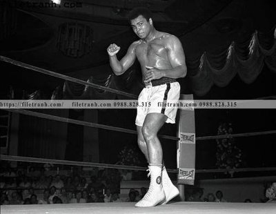 File gốc buc anh cua nha vo dich quyen anh Ali Tyson 223 (trang trí) cho phòng khách