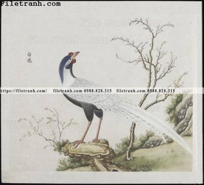 Download file gốc buc anh hoa co chim muong mau sac nhe nhang 100 (in mica) logo