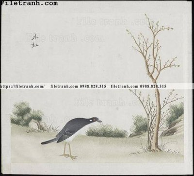 File PSD buc anh hoa co chim muong mau sac nhe nhang 112 (bản gốc) độ phân giải cao