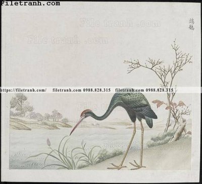 Hình ảnh file gốc buc anh hoa co chim muong mau sac nhe nhang 123 (chất lượng cao)