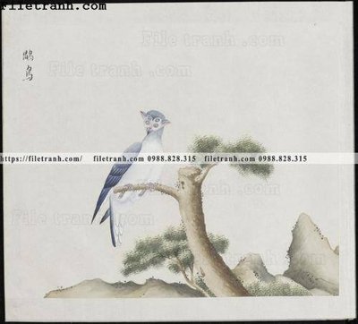 File gốc buc anh hoa co chim muong mau sac nhe nhang 132 (cho in ấn) độc quyền