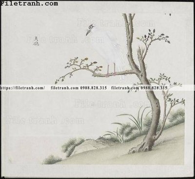 Cung cấp file tranh gốc buc anh hoa co chim muong mau sac nhe nhang 133 độc quyền