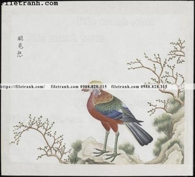 Download file tranh PSD buc anh hoa co chim muong mau sac nhe nhang 150 để chỉnh sửa